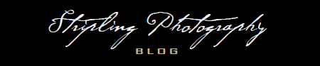 Stripling Photography Blog logo